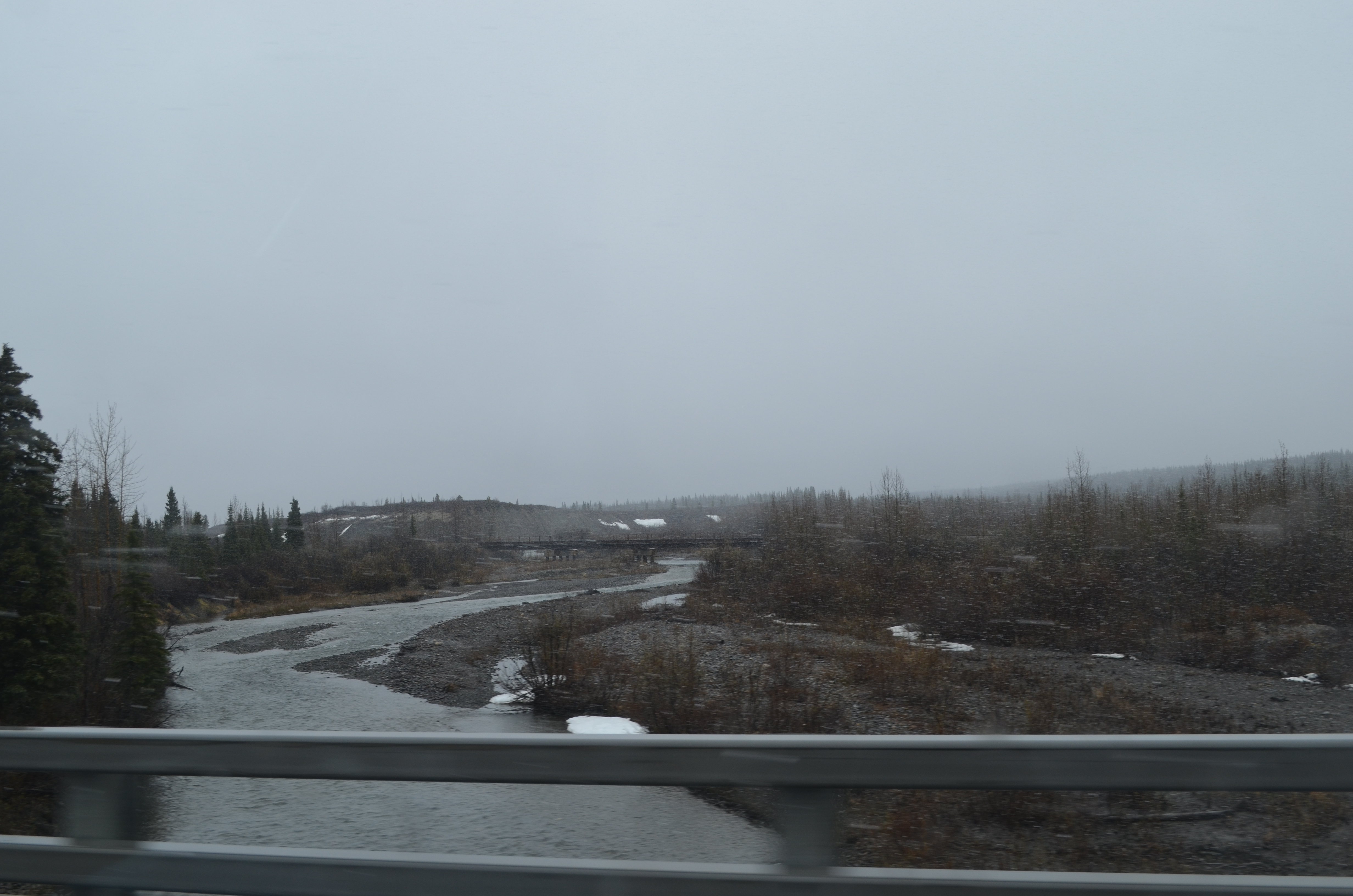./2017/08 - Alaska Cruise/03 - Denali/DSC_0087.JPG